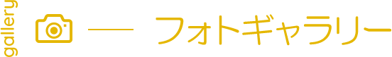 フォトギャラリー