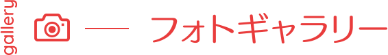 フォトギャラリー